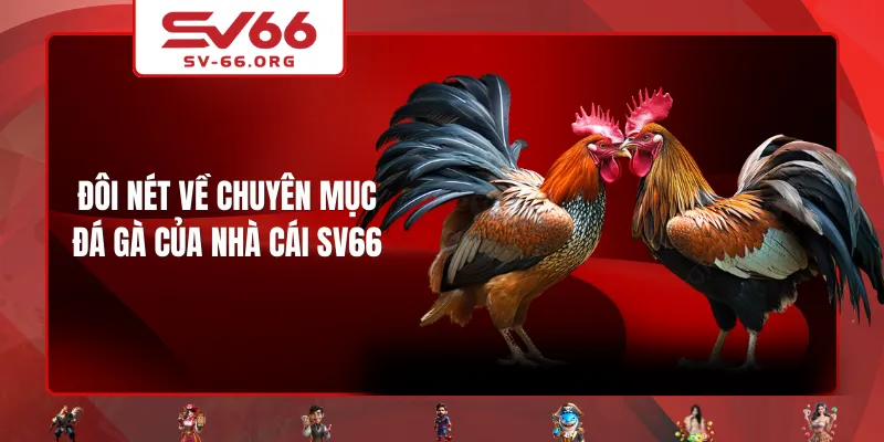 Đôi nét về chuyên mục Đá Gà của nhà cái SV66